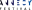 Logo Annecy Fesival